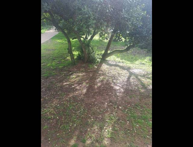 3 BEDROOM PROPERTY TO RENT IN HERSHAM